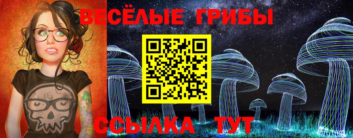 Мыски  Псилоцибиновые грибы GOLDEN TEACHER  Вход с VPN 
