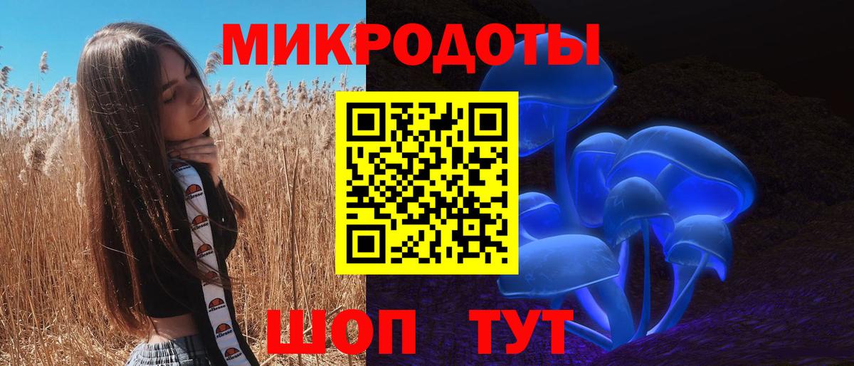 Псилоцибиновые грибы Cubensis Мыски